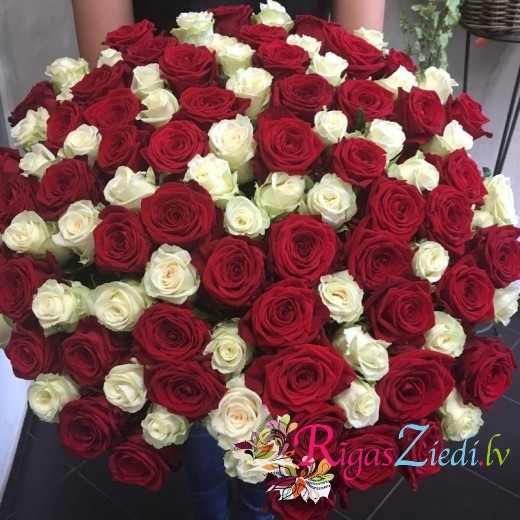 101 red and white rose bouquet